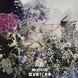 Magic Castles [12 inch Analog]