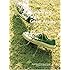 V.A.「Bank Band with Great Artists ap bank fes'08」