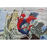 壁紙 輸入壁紙 紙 ドイツ製 スパイダーマン Spider-Man Concrete 8-467 セルノリ付き/Z3K