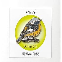 Amazon | 野鳥 メジロ ピンバッジ 野鳥 鳥 バードウォッチング