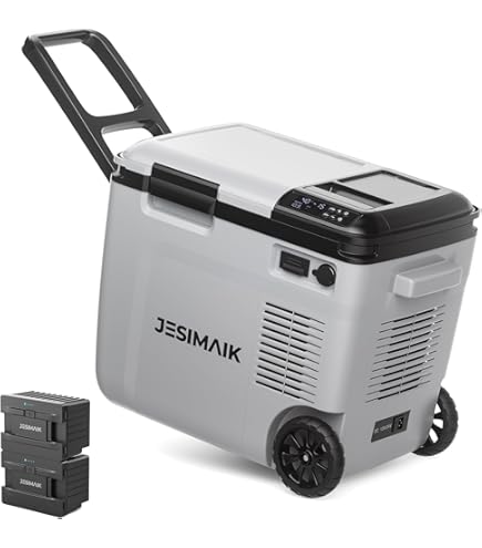 Amazon.co.jp: LIVZA ポータブル冷凍冷蔵庫 40L(2室型) LCH-M40