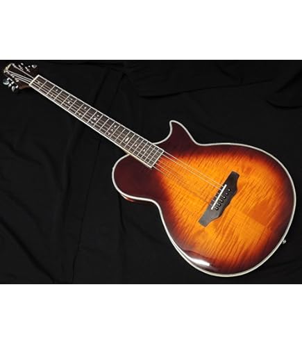 Amazon | ARIA APE-100 N ナチュラル 【エレキギターのように