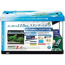 Amazon | ジェックス GEX AQUARIUM ラピレスRV60DT LEDセット デュアル