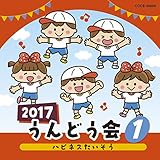 2017 ����ǂ���(1)�n�s�l�X��������