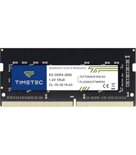 Synology RAM DDR4 ECC Unbuffered SODIMM 8GB (D4ES02-8G) : Amazon
