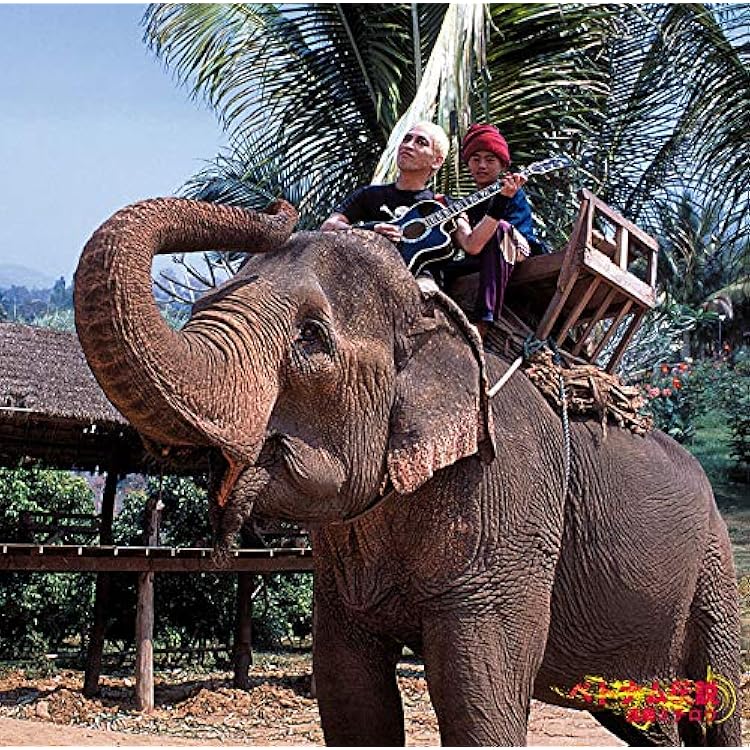 Amazon.co.jp: 飢餓々々帰郷 - 遠藤ミチロウ (DVD付): ミュージック