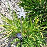 BIRUGEAR Solar Dragonfly Color Change Light E2175 (set of 2) [並行輸入品]