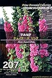 【種子】 Prime Perennial Collection アルセア チェイターズ ピンク Life with Green