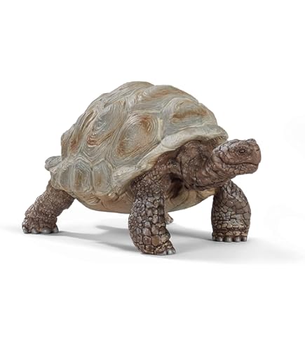 Amazon.co.jp: サファリ レプリカ ガラパゴスゾウガメ(親