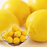 [みさわのやさい] レモン 国産 無農薬 訳あり 2kg 皮まで食べられる ノーワックス 防腐剤 防カビ剤 不使用