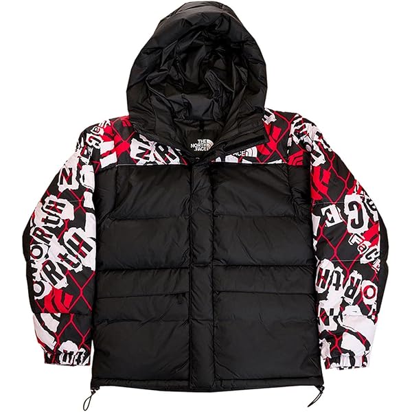 PS3　THE NORTH FACE カモフラージュ バルトロ　ダウン　L THE NORTH FACE（ザノースフェイス）の「＜THE NORTH FACE