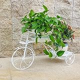 自転車スタイルの鉄フレームフラワーディスプレイスタンドホワイトハーブ、花、植物のためのデザイン屋内屋外リビングルーム (サイズ さいず : 40 * 77)
