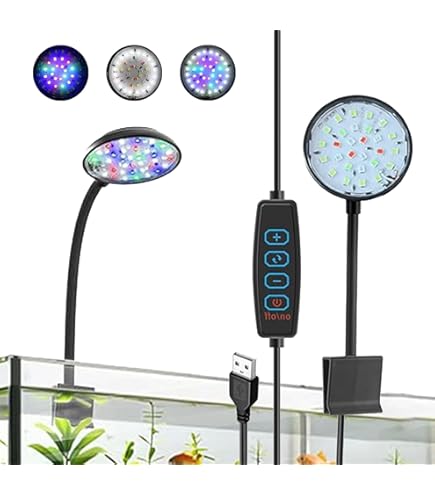 トールマン　水槽　バックパネルライト TALLMAN ”Siels(シエルス)” For W30×H30cm | アクアリウム用品