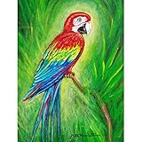 レッドMacawアウトドアWall Hanging 24 X 30