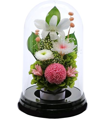 Amazon｜アートフォーシーズン△仏花（白系）ミニ輪菊glass ピンク