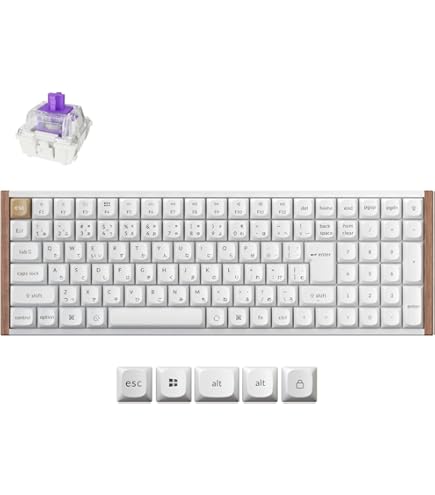 Amazon.co.jp: アーキサイト Maestro2Sメカニカルスペースセービング