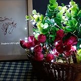 クリスマス文字列ライトPenderie 30 LEDバッテリーPoweredロープライトタイマー機能付き。Ambiance for Party Holidayウェディング装飾用(クールホワイト)
