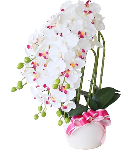 Amazon｜光の楽園 フェイクグリーン 造花 フレッシュ胡蝶蘭3本立W