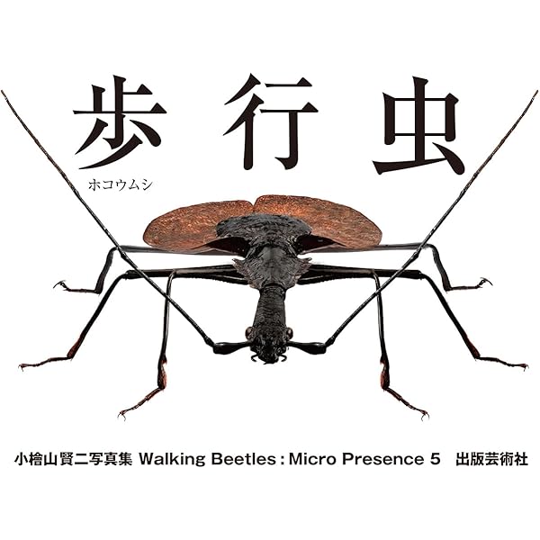 【異形塵騙】背中に爆弾を抱えたMorphostenophanes標本2 塵騙 ゴミムシダマシ: マイクロプレゼンス3 | 小檜山賢二 |本 | 通販