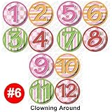 Baby Girl Monthly Onesie Stickers - CLOWN AROUND Baby Month Onesie Stickers Baby Shower Gift Photo S