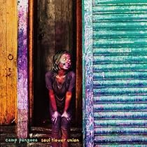 ソウル・フラワー・ユニオン スクリューボール・コメディ LP Amazon.co.jp: スクリューボール・コメディ - ソウル・フラワー
