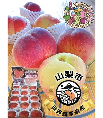 Amazon.co.jp: 山形県産 白桃 CX (シーエックス) 秀品 約2.5kg 硬い桃