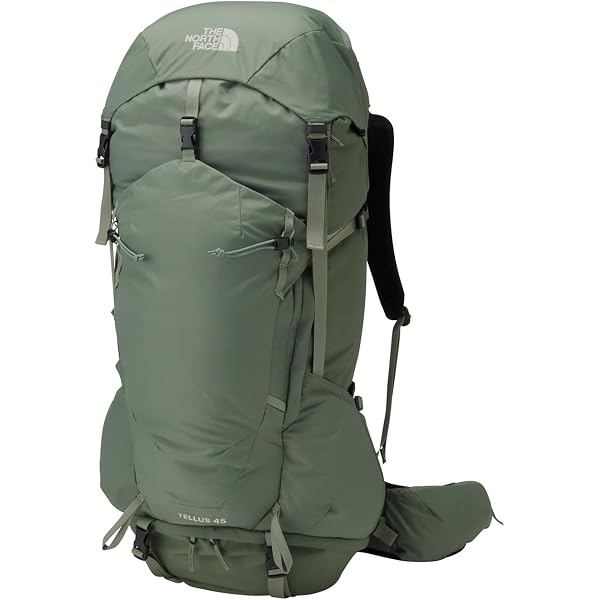 Amazon.co.jp: [ザノースフェイス] リュック/バッグ W Tellus 42