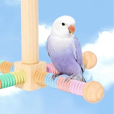 Amazon.co.jp 最新リリース: 鳥用止まり木 の新着ランキングです。