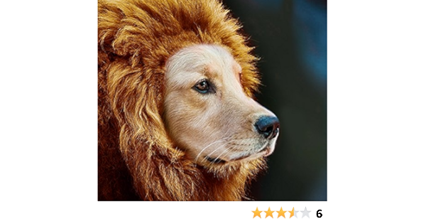 ライオン たてがみ 犬用コスチューム 犬ネックウォーマー ライオン帽子 被り物 Nipponマーケット ヘアアクセサリー 通販 Amazon