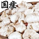 国華園　ニンニク　国産嘉定ニンニク(種球)　1kg【※発送が国華園からの場合のみ正規品です】