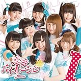 �����o�C�u���[�V����(typeI)