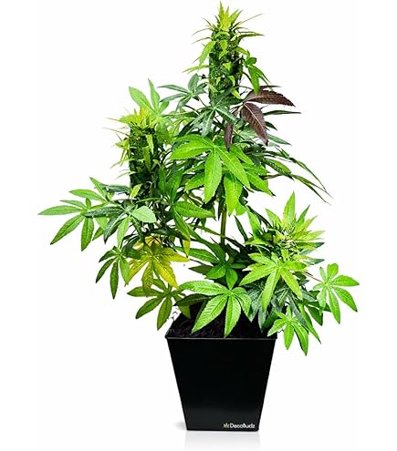 Amazon｜フェイクグリーン 造花 観葉植物 マリファナ 大麻 WEED