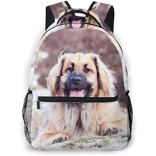 (最終値下げ)ラグドール リュック 楽天市場】【Chongker】ぬいぐるみバックパック ラグドール