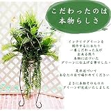 屋外対応 フェイクグリーン スタンド 高級感市UDD触媒加工 リアル 本物そっくり 人工観葉植物 130センチ 開店祝い 熨斗対応 造花 スタンド インテリアグリーン お洒落 玄関 贈り物 領収書 発