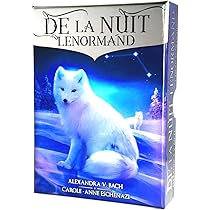 Amazon.co.jp: LANG(ラング) エルキ オラクル オラクルカード 44