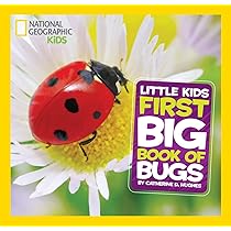 専用　Little Kids' First Big Book of など7冊 専用 Little Kids' First Big Book of など7冊 専用 Little Kids