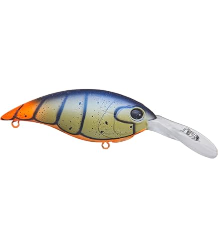 新品 激レア NORMAN Deep Little N OL’ GLORY星条旗 新品 激レア NORMAN Deep Little N OL' GLORY星条旗