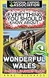 Everything You Should Know About: Wonderful Wales Faster Learning Facts (English Edition)