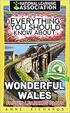 Everything You Should Know About: Wonderful Wales Faster Learning Facts (English Edition)