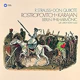 R.�V���g���E�X:�������s�h���E�L�z�[�e�t