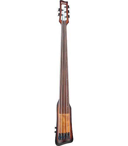 Hallstatt WBSE-850 アップライトベース、ケース付き Hallstatt WBSE CASE [アップライトベース用ケース] 【イケベ