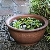 Amazon Co Jp タイ 大型 睡蓮鉢 つぼ型 Ll Lset 深型 ビオトープ メダカ鉢 水鉢 はす鉢 Ll Lセットでお得 ホーム キッチン