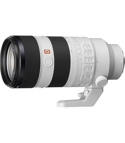 Amazon.co.jp: Sony FE 24-70mm f/2.8 GM Lens並行輸入 : SONY: 家電 