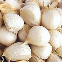 Amazon | 青森 にんにく バラ 500g 国産ニンニク 青森期待の新人商店 