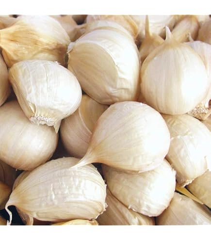 Amazon.co.jp: 粒にんにく バラ (福地ホワイト六片種) 青森県産 10kg 