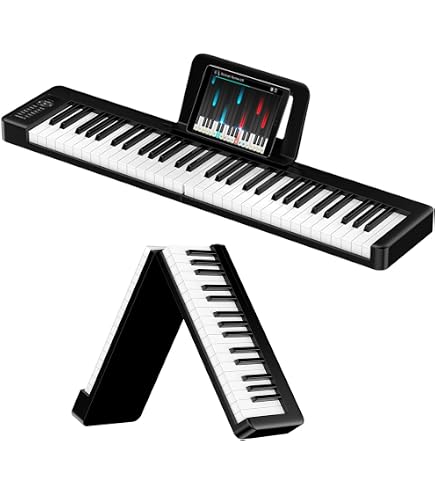 Amazon | カシオ 電子キーボード 61標準鍵 ベーシックタイプ CTK-4200