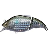 Amazon メガバス Megabass ルアー Vatalion Sw ヴァタリオンsw M コハダ メガバス Megabass ルアー
