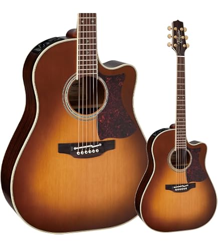 Amazon | Takamine タカミネ GN93CE-NAT Nex Cutaway エレアコ