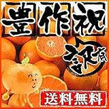 みかん 大豊作祝い 訳あり 不選別 ご自宅用 5kg