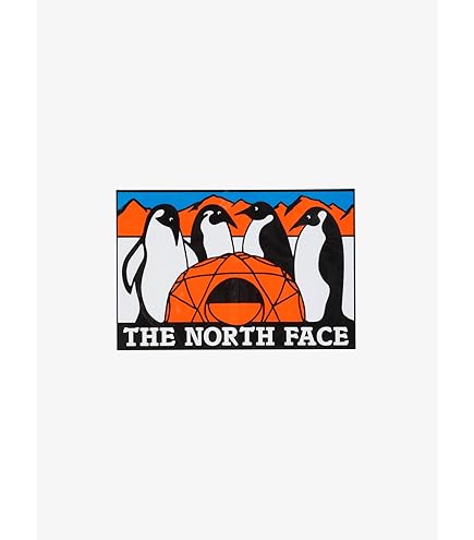 THE NORTH FACE - パタゴニア ステッカー patagonia ステッカー LIVE SIMPLY 正規品 シール パタゴニア